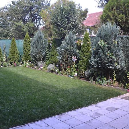 Gavri'S Relaxing Place Braşov Exterior foto